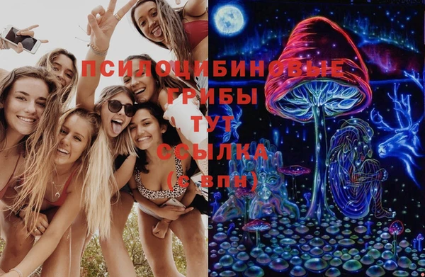 синтетический гашиш Алексеевка