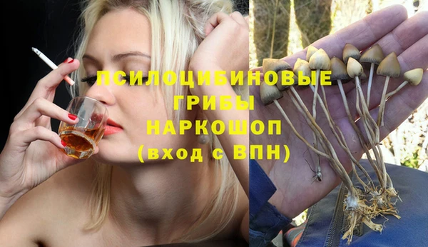 синтетический гашиш Алексеевка
