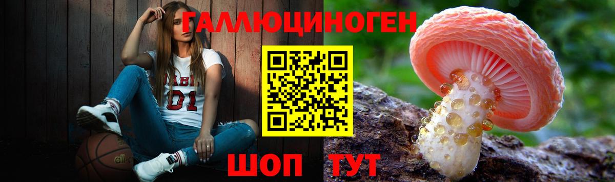 Псилоцибиновые грибы мицелий  Псилоцибиновые грибы мицелий  Вход с VPN  Амурск 